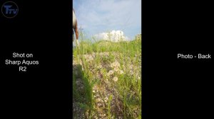 Sharp Aquos R2 Camera Test Review for 2022 in Pakistan