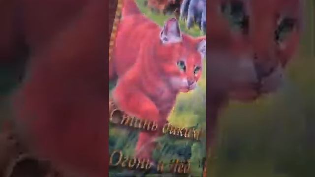 книга коты воители стань диким!огонь и лёд!? смотреть онлайн