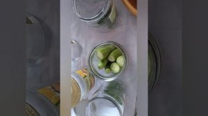 Огурцы с Горчицей(солю армянские огурцы)
