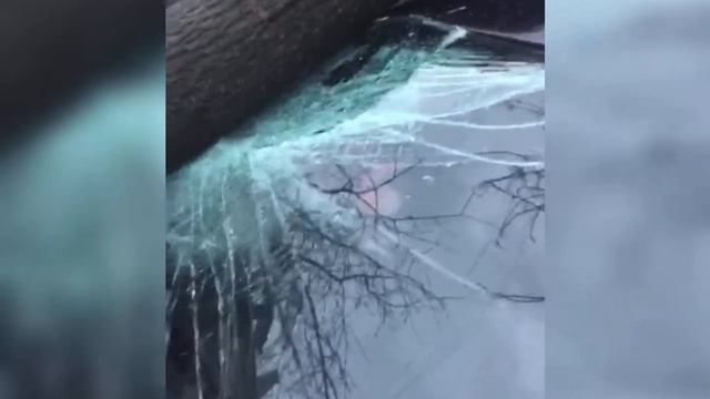 Без шансов: кто заплатит за ремонт, если на автомобиль упало дерево смотреть онлайн