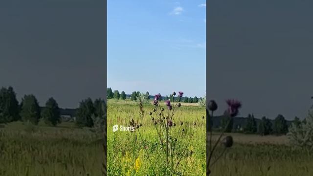 Поход на пленэр в городе Кургане. смотреть онлайн