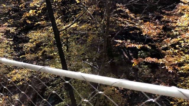 Воспоминание о золотой осени - прогулка по красивому парку тёплым днём. Не пожалейте времени! смотреть онлайн