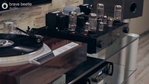 Очередное творение от Российской HI-FI компании brave beetle  audio -интегральный усилитель "Totem"