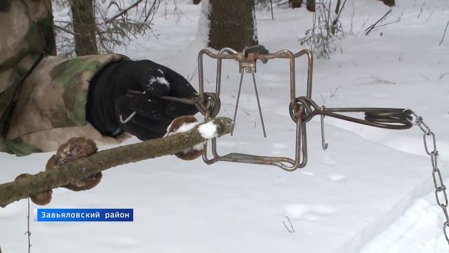В Удмуртии инспекторы Минприроды стали охотниками на браконьеров