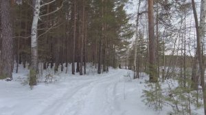 Тропинка зовёт вперёд
