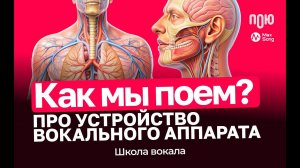 3.1 Как мы поём? Про устройство вокального аппарата. Школа вокала.