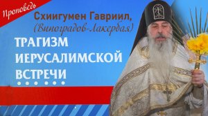 Трагизм Иерусалимской встречи. Проповедь о. Гавриила. Кавказский скит. Верую @user-gw3kj1lb7j