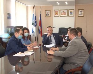 Что делать с бродячими собаками?