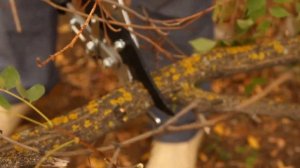 Сучкорез Центроинструмент 0207