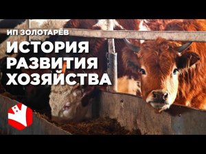 Развитие фермерского хозяйства | Животноводство и растениеводство