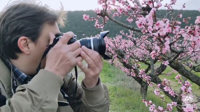 Цветущие сады Крыма
