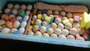 Инкубация индюшиных яиц.  Процедура за три дня до вылупления. Часть 3.