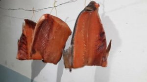 Кета холодного копчения. Разделка, засолка, копчение в домашних условиях.