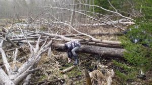 Вспышка на Болоте | Вездеходы ГАЗ-71, ГАЗ-3409 "БОБР" и ARGO