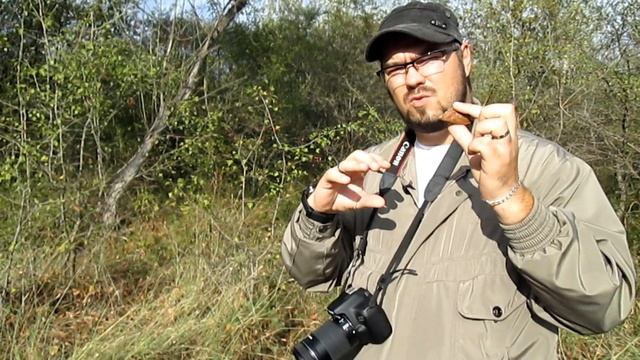 Expeditie de fotografie - paianjeni din Romania смотреть онлайн