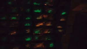 Презентация силикона PHANTOM на ставриду