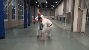 Японское Джиу-джитсу в РФ