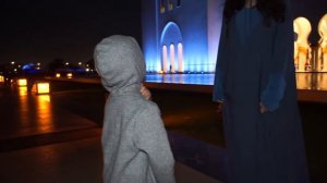 Grand Mosque in Abu-Dhabi / Я - папина поддержка / кормим чаек