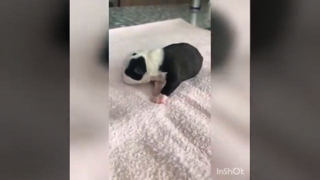 11 мая 2022 г. смотреть онлайн