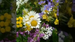 Игорь Кибирев