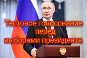 Прошло тестовое голосование перед выборами президента России