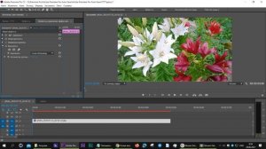 Эффект Выровнять. Premiere Pro.mp4