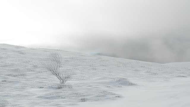 DSC_4467 смотреть онлайн