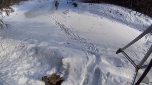 НАШЛИ ДОМИК В ТАЙГЕ / РЫБАЛКА НА ХАРИУСА ВЕСНОЙ / БАТЯ МЕНЯ ОБЛАВЛИВАЕТ / Часть 2