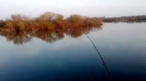 Ловля голавля в апреле на куриную печень