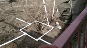 Кустодержатель из ПВХ . Тонкости .