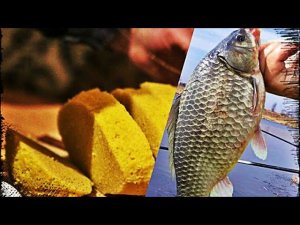 НАЖИВКА от МИХАЛЫЧА на осеннего КАРАСЯ(МАСТЫРКА)