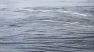 ТОП 9 САМЫХ ОПАСНЫХ ВОДОВОРОТОВ ОКЕАНА