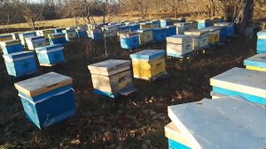 Утепление ульев на зиму и вентиляция. Облёт к зиме готовы