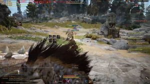 Black Desert обзор класса Blader