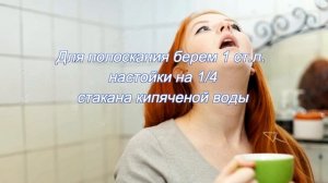 Польза эвкалипта