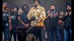 Live!! Sidhu Moose Wala First Artist in Wireless Festival | Superstar Record Making