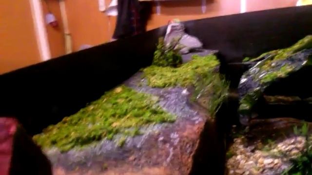 МАКЕТ РЕКИ,ЛЕСА смотреть онлайн