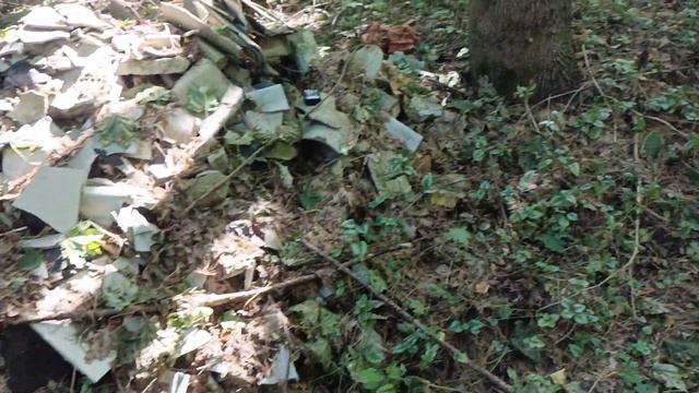 Słowo do imbecyli. Popierasz? Podaj dalej. смотреть онлайн