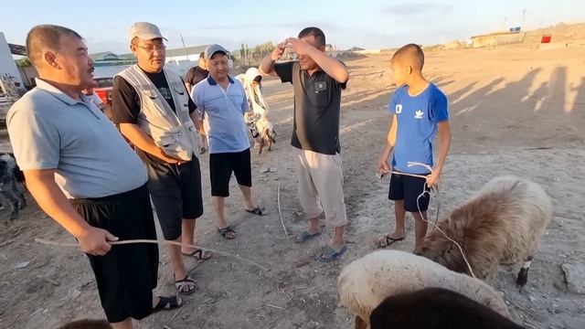 28-ИЮЛЬ/2023/САРАНША МАЛ БАЗАРЫ БАЙЛАНЫС УШЫН +998885078080