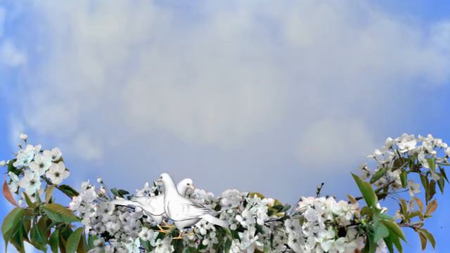 С ДНЁМ РОЖДЕНИЯ смотреть онлайн