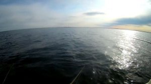 Ловля судака.  О водяном парусе.