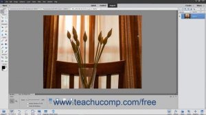 Photoshop Elements 2020 Tutorial Layer Types Adobe Training