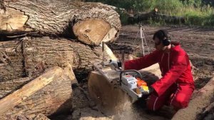 Мобильная пилорама Realforest