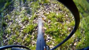 Солнечный ноябрь