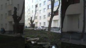 Беспредел во дворе г.Новосибирск ул. Гоголя 41а