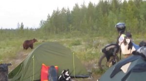 Как мы на Кольском от медведя отбивались....