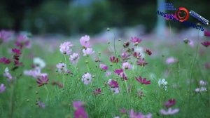 Как обрести душевное спокойствие и равновесие: лучшие психологические приемы от плохого настроения