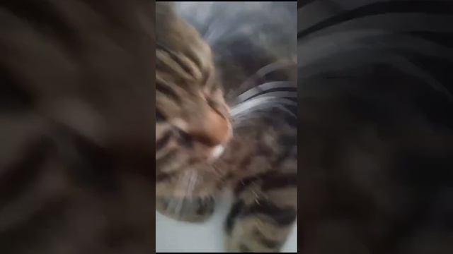 новогодние поздравления часть 1 смотреть онлайн