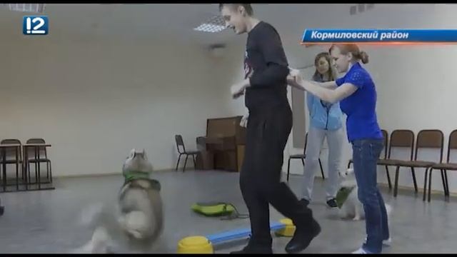 Маленьких жителей омских районов теперь лечат четвероногие доктора смотреть онлайн