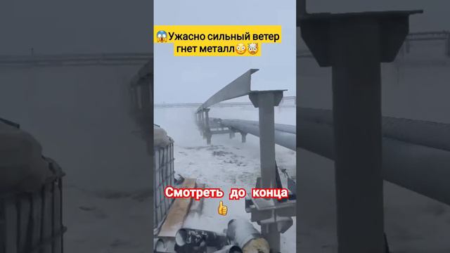 🌬😳Ветер сметает все на пути #sorts #ветер #sort #сильныйветер #север #погода